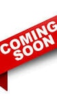 Coming soon placeholder for Alternate Treasurer